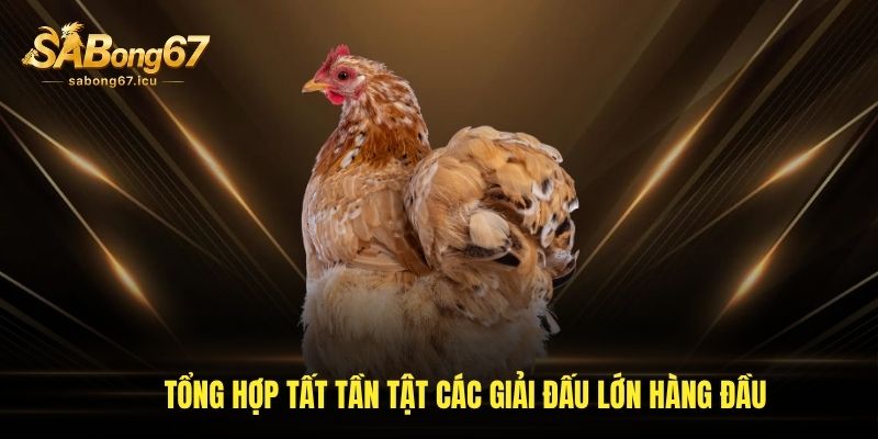 Tổng hợp tất tần tật các giải đấu lớn hàng đầu