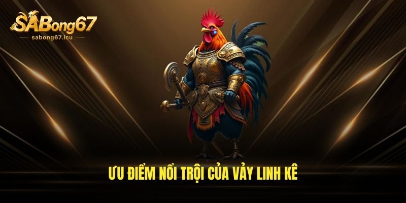 Ưu điểm nổi trội của vảy linh kê