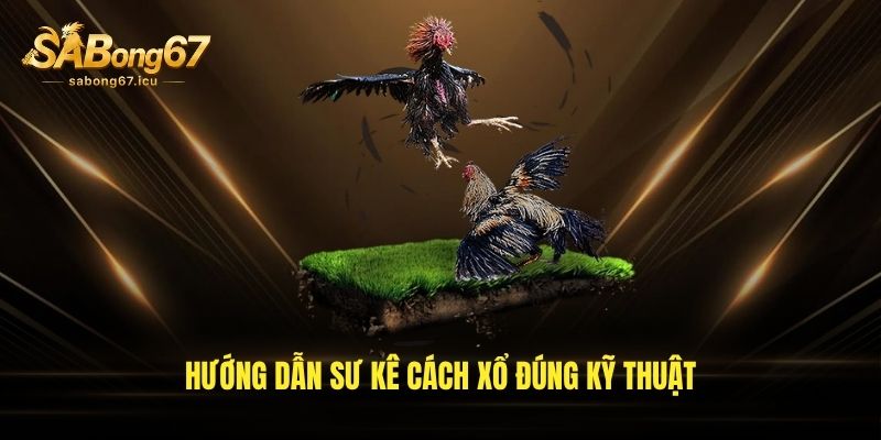 Vài điểm thường gặp khi áp dụng cách xổ gà chọi