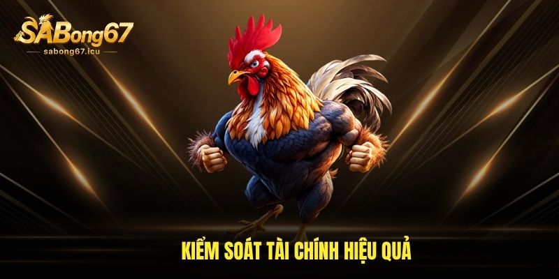 Sabong67 32 Kiểm soát tài chính hiệu quả