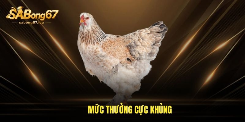 Sabong67 28 Mức thưởng cực khủng