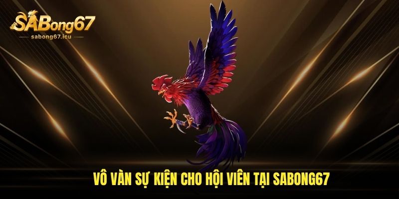Sabong67 30 Vô vàn sự kiện cho hội viên tại sabong67